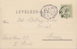 Zsibó, vasútállomás; kiadja Julius Nagy / railway station, floral