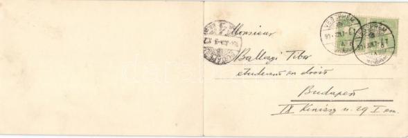 Veszprém, panoramacard; kiadja Pósa Endre