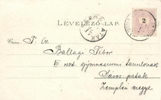 1899 Vác, Siketnéma intézet, Fegyintézet; litho