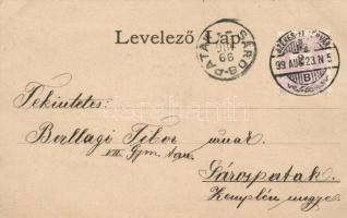 1899 Székesfehérvár, floral