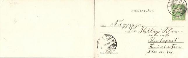 Léva, panoramacard; kiadja Schulz Ignácz