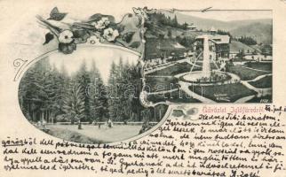 1899 Iglófüred, floral