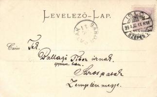 1899 Iglófüred, floral