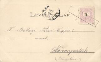 1899 Késmárk, Kereskedelmi iskola / Business school, floral