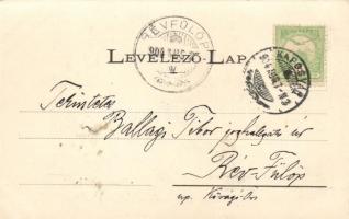 Kaposvár, Erzsébet utca, Erzsébet szálló; Szabó Lipót kereskedő kiadása