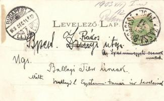 Hatvan, Cukorgyári kastély és igazgatósági épület; floral (ragasztónyom / gluemark)