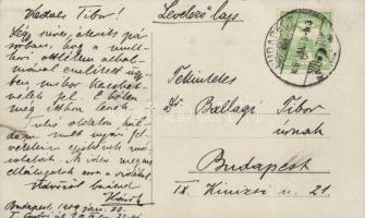 Aranyos-Beszterce völgye, Vízfogógát / dyke, photo