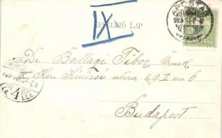 Apostag; kiadja Paulik Sándor