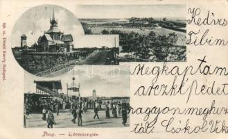 Dunakeszi-Alag, Lóversenytér; Divald Károly