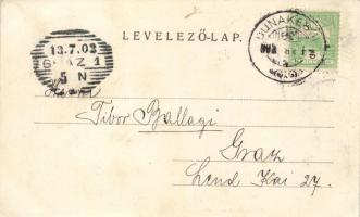 Dunakeszi-Alag, Lóversenytér; Divald Károly