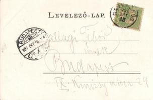 1900 Nagykőrös, Kossuth-szobor, Tóth András debreceni szobrásztól; Geszner Jenő kiadása