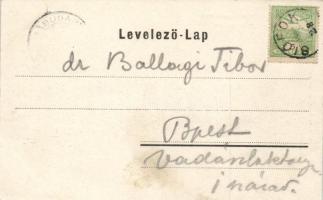 Siófok, Tánhoffer- és Ángyán- villa; floral, Schwarcz Bernát kiadása