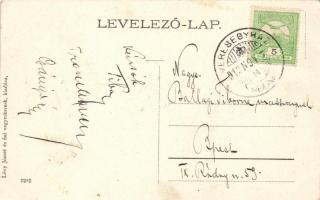 Veresegyház, Katolikus iskola; kiadja Lővy József és fiai