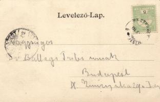 Balatonszárszó, Domokos-villa