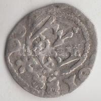 Lengyelország 14-15. század 1/2Gr Ag (0.76g) T:3
Poland 14-15th Century 1/2 Groschen Ag (0.76g) C:F