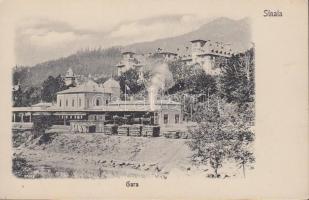 Sinaia, Railway station