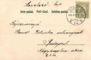 Litho Art Nouveau postcard 'Schwere Wahl Serie 28. Kunstverlag Rafael Neuber Wien' s: E. D...