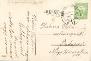 New Year, mushroom litho