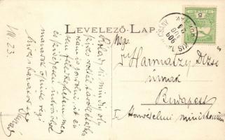 Kistapolcsány, Főhercegi palota / castle