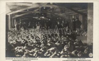 Tatabánya, a Magyar Általános Kőszénbánya Részvénytársulat tatabányai telepe, cementgyár, zsákraktár (fa)