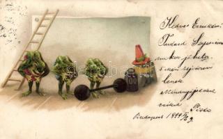 1899 Frogs in the gym, humour, litho