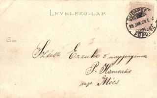 1899 Frogs in the gym, humour, litho