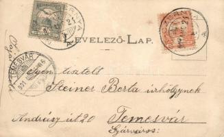 Szerbcsernye, Németczernya; Ifj Hönig Antal ecetgyára, vasútállomás / vinegar manufacture, railway s...