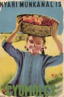 4 db régi gyümölcs motívumú reklámlap, hátoldalukon vitamin táblázat / 4 old motive cards, advertise...