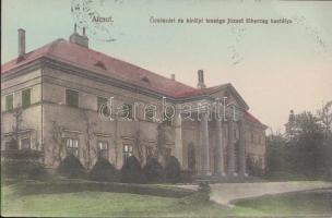 Alcsút, Főhercegi kastély