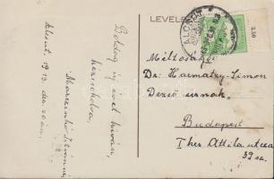 Alcsút, Főhercegi kastély