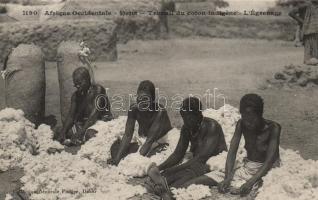 French Soudan, cotton field workers