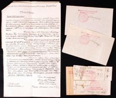 1918-19 Magyar tartalékos katona, kassai államügyész folyamodványa, melyben az őt átvevő csehszlovák...