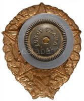 Csehszlovákia ~1960. "Kiváló katona" kitüntetés + "Julius Fucik" jelvény + &quot...