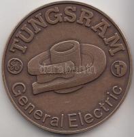 2003. "Tungsram / A vákuumtechnikai gépgyár 50 éves fennállásának emlékére Budapest" Br emlékérem (43mm) T:1