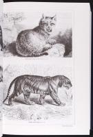 Révai Nagy lexikona I-XX. kötet, pótkötettel Teljes!, 1992-1995, Babits kiadó. Hasonmás kiadás, egés...