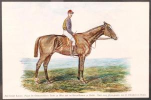 1879 Futamgyőztes lovak sorozat: színezett fametszet igényes üvegezett keretben / Champion horses wo...