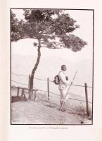 Szeghalmy Gyula: Dunántúli vármegyék. Az előszót írta: József főherceg király fensége, a Magyar Tudo...