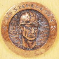 R. Kiss Lenke (1926-2000): "Jó szerencsét!", bronz plakett fára erősítve, jelzett, d:10 cm