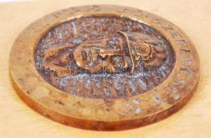 R. Kiss Lenke (1926-2000): "Jó szerencsét!", bronz plakett fára erősítve, jelzett, d:10 cm