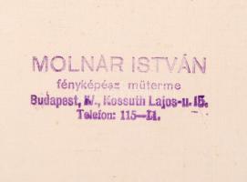 1925 Budapest X. ker. Tisztviselőtelepi Állami Széchenyi István Reálgimnázium tablója, kartonra kasí...