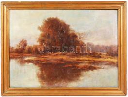 Jelzés nélkül: Tisza. Olaj,vászon, hátoldalán Szontágh Tibor felirat és egy árverési csarnokos címke, keretben 77×58 cm