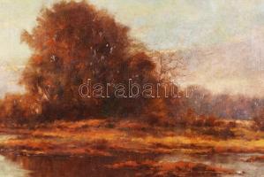 Jelzés nélkül: Tisza. Olaj,vászon, hátoldalán Szontágh Tibor felirat és egy árverési csarnokos címke...