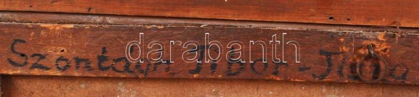 Jelzés nélkül: Tisza. Olaj,vászon, hátoldalán Szontágh Tibor felirat és egy árverési csarnokos címke...