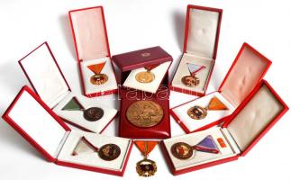 9db vegyes szocialista kitüntetés és emlékérem többnyire tokban, közte "Honvédelmi Érdemérem" 15 év után, "A Haza Fegyveres Szolgálatában" 25, 30, 35, 40 év után + "A Haza Szolgálatáért" arany fokozata (3x) T:2