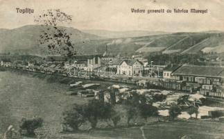 Maroshévíz with railway station and factory