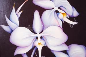 Markó Erzsébet (1947-): Orchidea. Akril, farost, jelzett, keretben, 40×40 cm