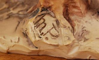 Capodimonte kislány a kutyákkal, kézzel festett, jelzett (M.P.), apró lepattanással/
Handpainted Cap...