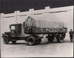 MATEOSZ nyergesvontató fotó 22x17 cm