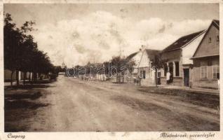 Csepreg alsóvárosi utca (fl)