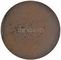 1972. Munkásőr Br emlékérem (84mm) szign.: Farkas Aladár (1909-1981) T:2